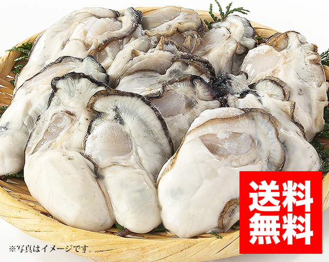 冷凍なのに生食可能！生牡蠣 １ｋｇ 生食用カキ！新製法で冷凍なのに生食: 広島産牡蠣の通販ならここ！海のミルクをたっぷり味わいましょう！